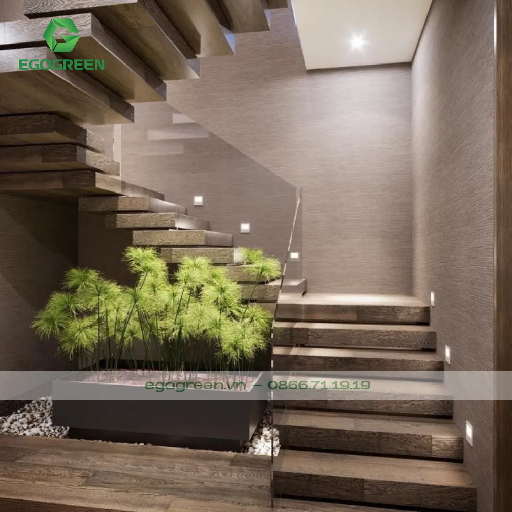 Cần nghiên cứu kỹ vị trí trồng cây xanh trong nhà